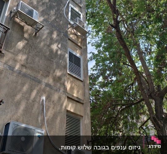 Tree branches near building with air conditioners